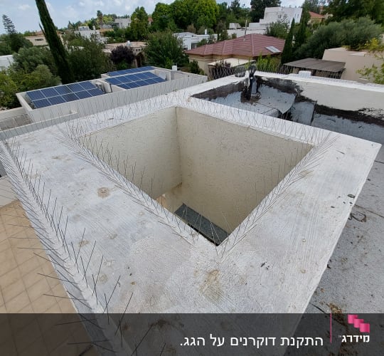 דוקרנים על גג למניעת יונים